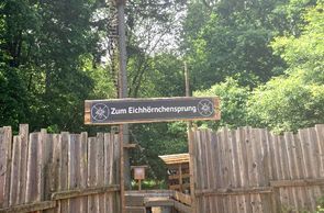 Eichhörnchensprung_Stephan Mense