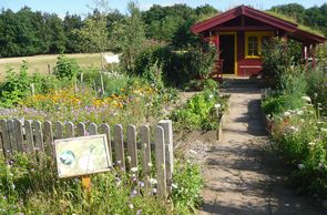 Schmetterlingsgarten im ErlebnisWald Trappenkamp