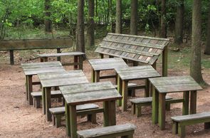Grünes Klassenzimmer