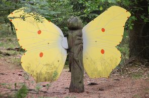 Holzschmetterling